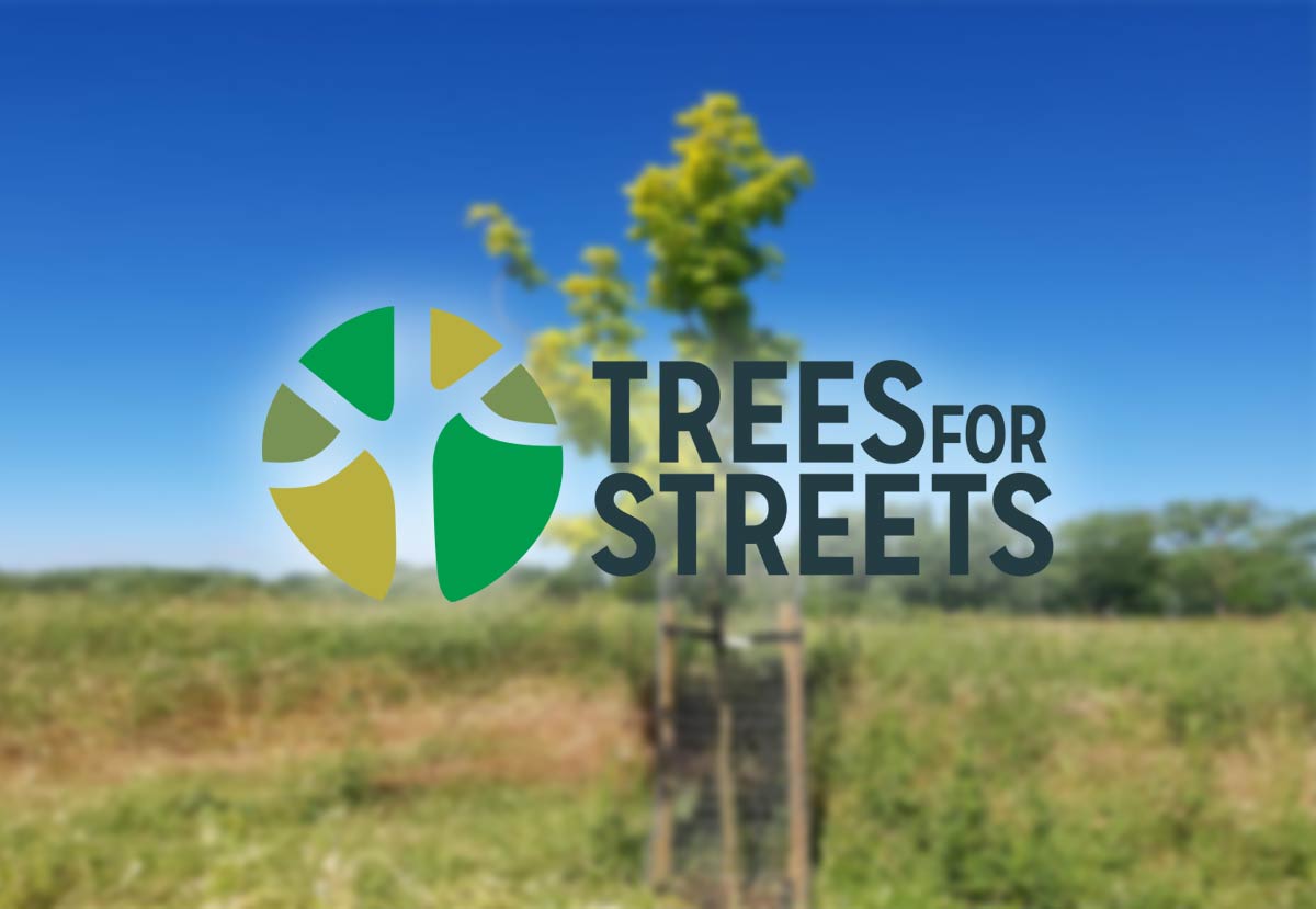 Trees for Streets - Logo over a newly planted tree